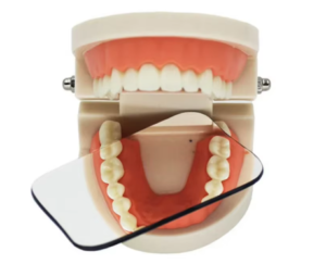 Miroir Photographique Intra-Oral Autoclavable | Orthodontie & Esthétique